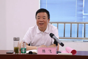 副省长陈飞调研米兰在线登录-米兰(中国)
航空产业