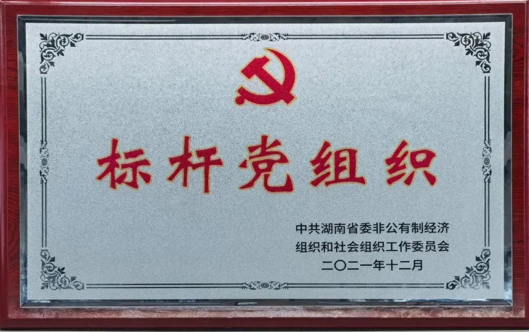 党建品牌亮起来！米兰在线登录-米兰(中国)
智能党委获评“标杆党组织”