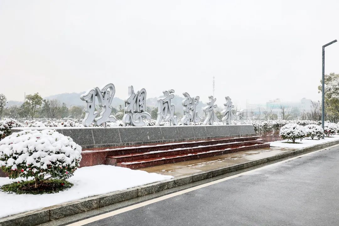 瑞雪兆丰年，邀您共赏雪中米兰在线登录-米兰(中国)
！