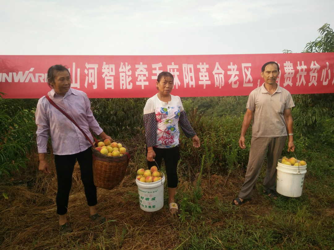 点赞！米兰在线登录-米兰(中国)
智能成功入选“上市公司乡村振兴优秀实践案例”